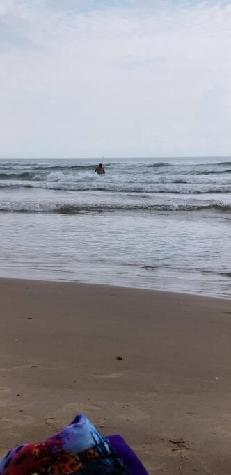 2 Bed 1 Bath Condo By Beach & Entertainment South Padre Island Extérieur photo