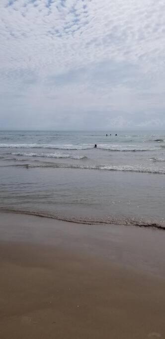 2 Bed 1 Bath Condo By Beach & Entertainment South Padre Island Extérieur photo